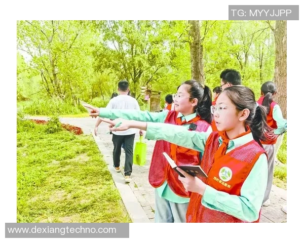深度对话：探索陈芳在和平精英中的成长与挑战人生之旅