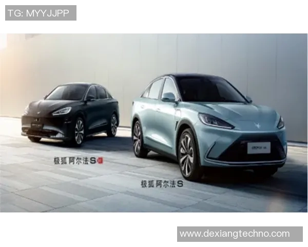 上海乒乓球队区域防守革新之路与战术变革全解析