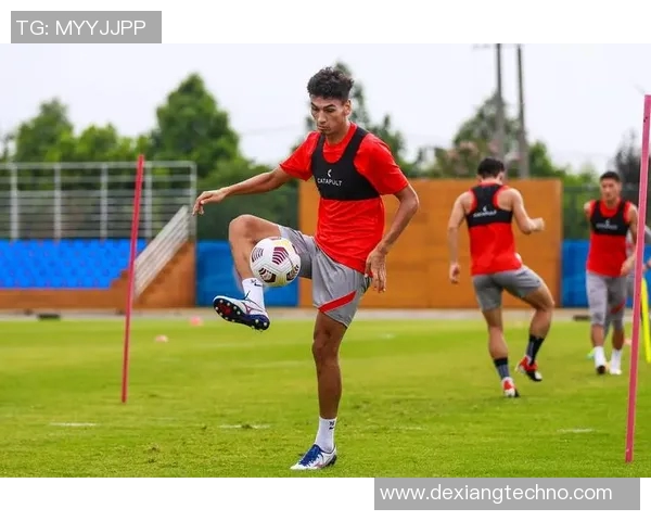 上海足球队创历史新高耐力排名引发广泛关注与讨论