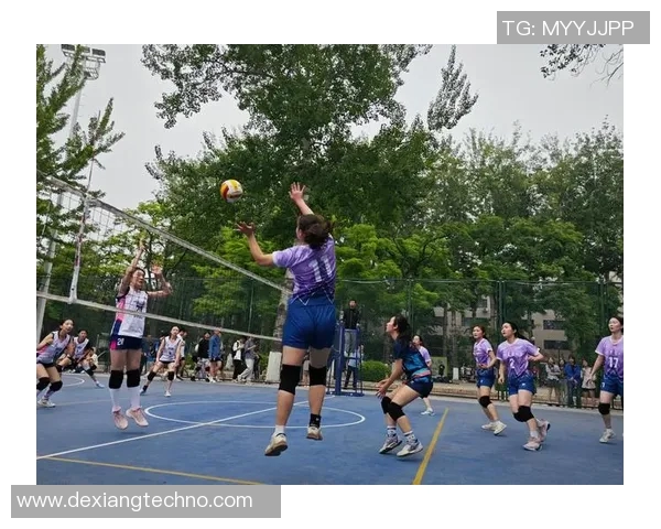北京排球队的防反战术解析与深度剖析排球竞技的魅力与挑战