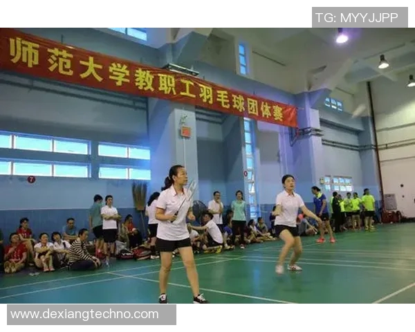 南京羽毛球队团队协作引发热议球员间配合与默契的争论与反思