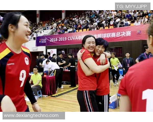 广州排球队总决赛之路：拼搏与荣耀交织的奋斗故事