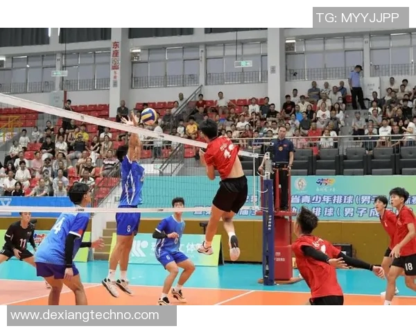 排球盛宴：深入解析上海排球队的竞技状态与未来发展潜力