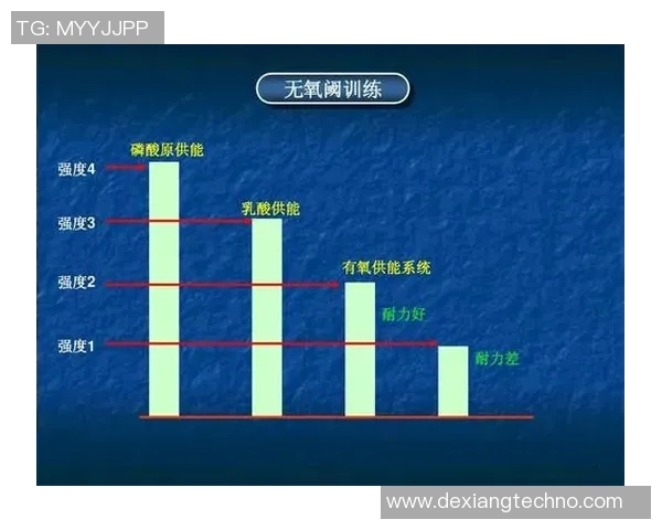 西安羽毛球队的战术解析与训练体系深度剖析