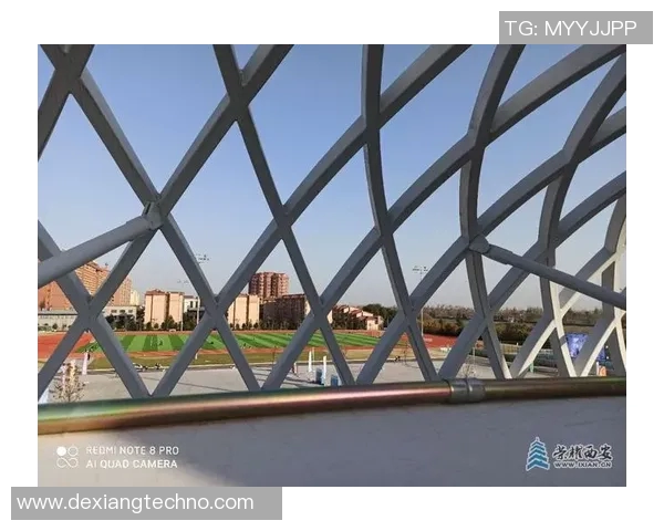 西安网球队运营策略深度分析与发展前景探讨