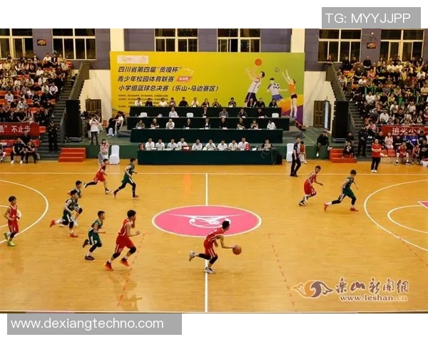 黄敏独家揭秘篮球技巧与心得分享助你提升球技与比赛表现