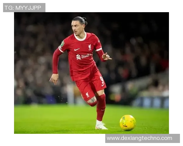 努涅斯在赛场上的崛起与挑战解析，未来能否成为足球新星的关键时刻