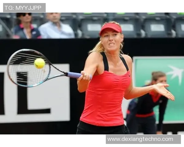 李娜与莎拉波娃的巅峰对决精彩回顾与赛场瞬间分析